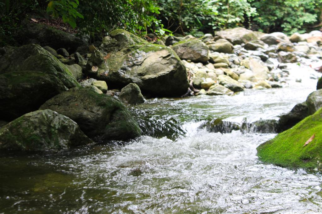 Corinto Pearl Eco Resort El Pino Eksteriør billede